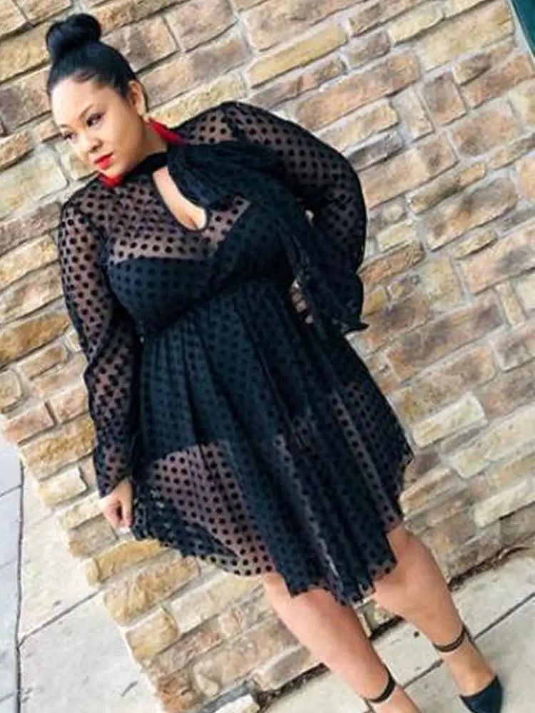 Lace Dress Women Sexy Plus Size Clothing Long Sleeve Mesh Dress with Lingerie Strap Black Midi Dress Wholesale Dropshipping - The Genie Store